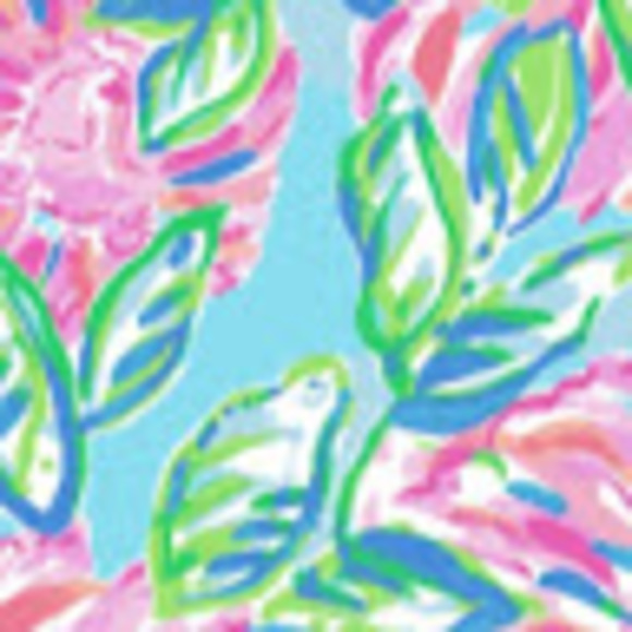 Meet your Posher, Ridley - Picture 1 of 1